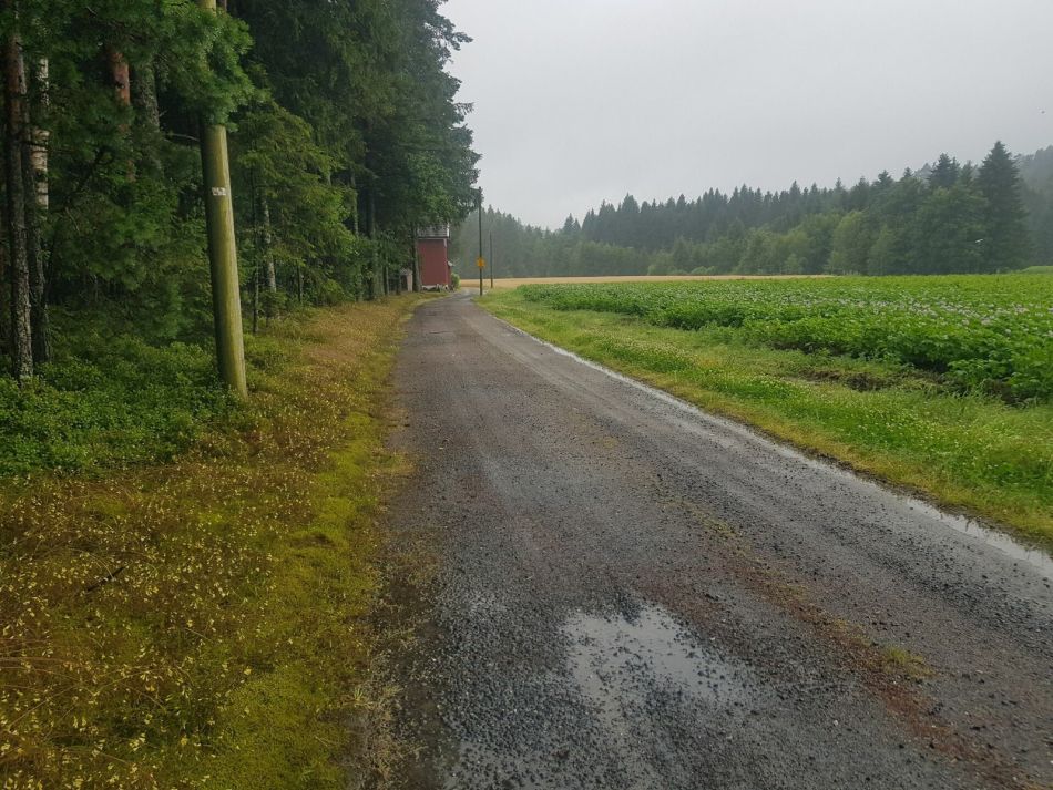 Fin grusvei videre mot Dolholt