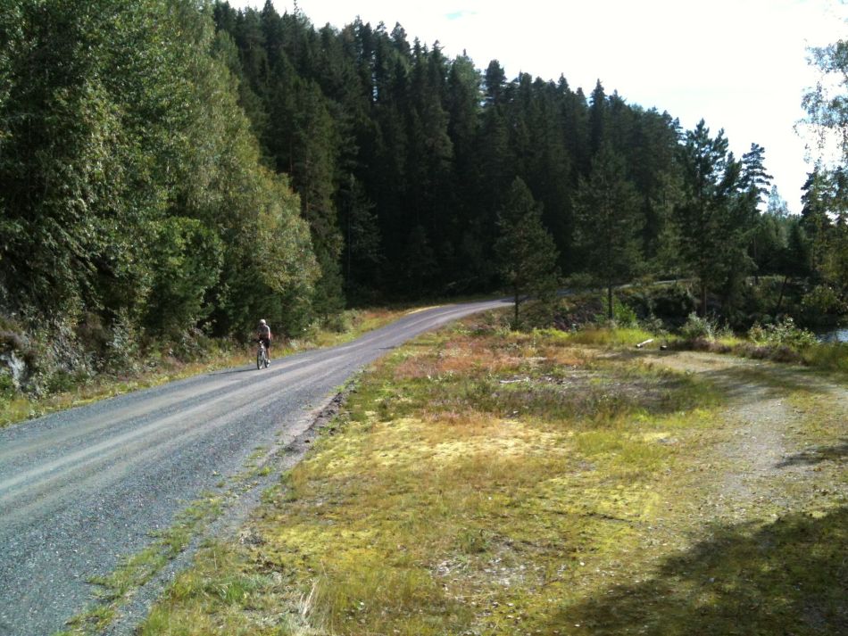 På sykkeltur i Vegårshei kommune. Foto: Steinar Grøtterød