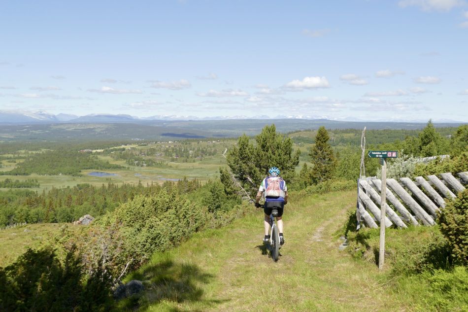 Tisledalen. Foto: Birgit Haugen