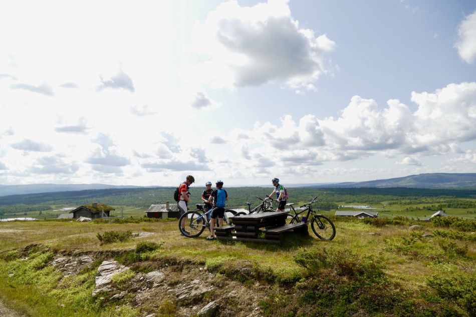 Ost - Langestølen. Foto: Birgit Haugen