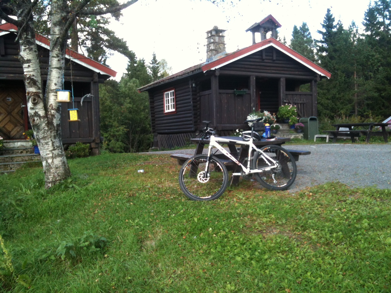 Brunkollen. Foto: Steinar Grøtterød