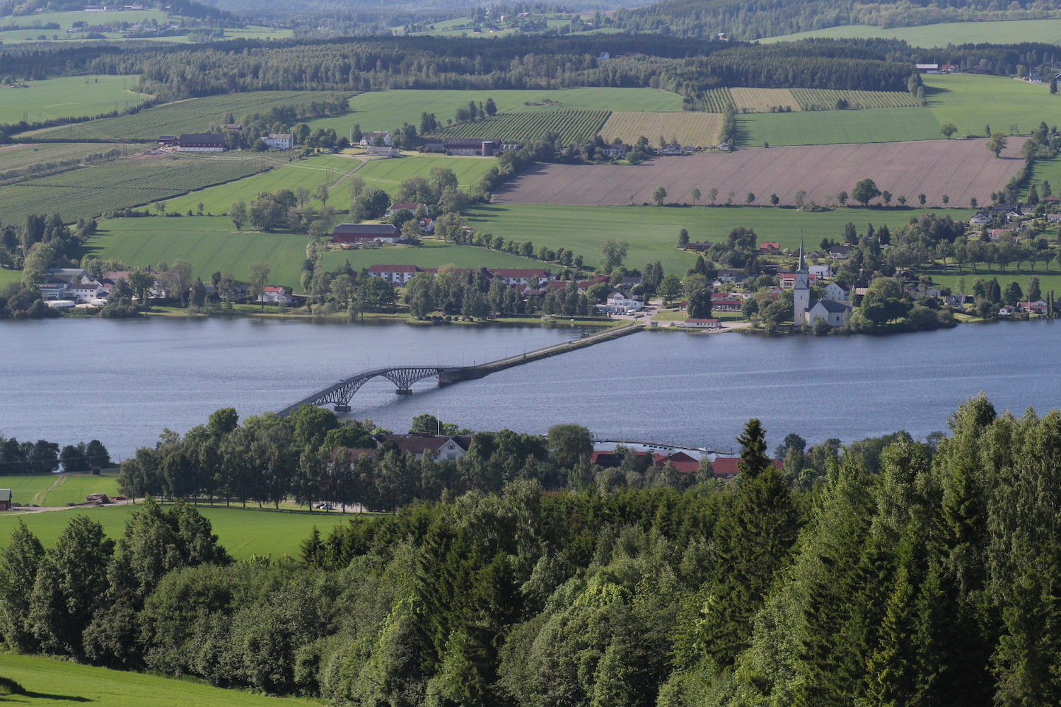 Utsikt til Mjøsa. Foto: Øyvind Wold