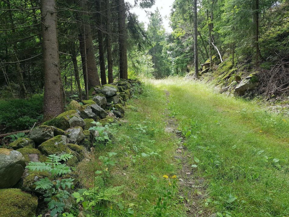 Vestlandske hovedvei