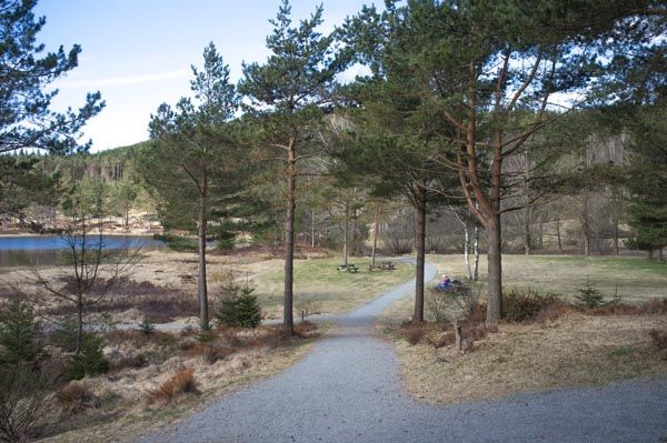 Foto: Tormod Hanstad