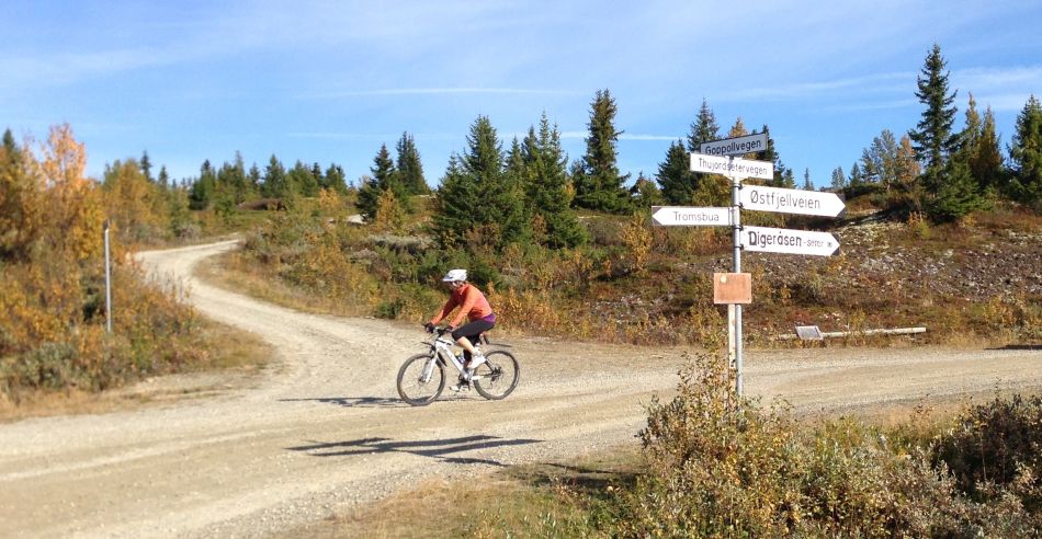 Krysset Goppollvegen/Thujordsetervegen