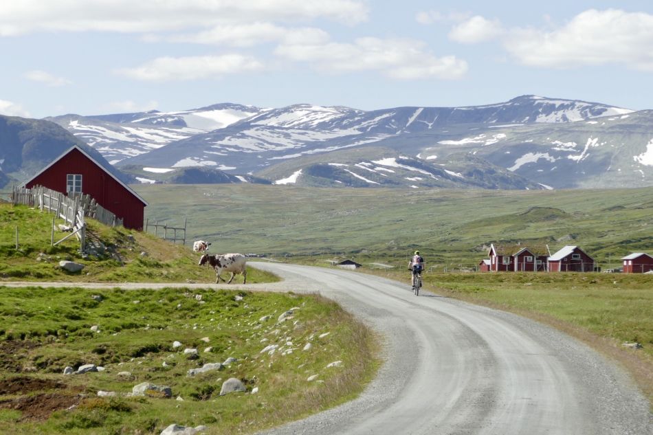 Jotunheimvegen. Foto: Birgit Haugen
